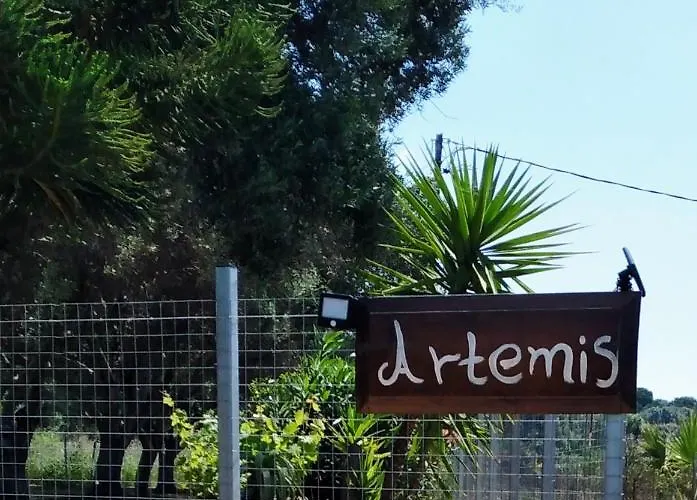 Artemis *