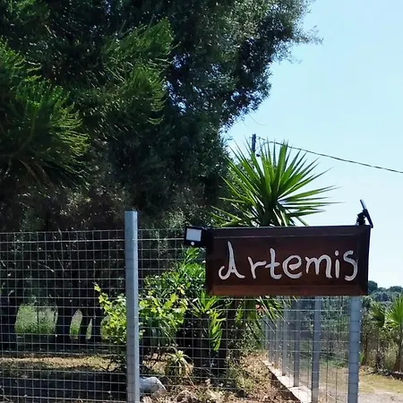 Artemis *